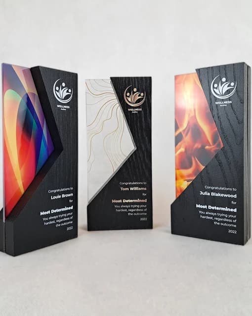 UV printed acrylic award plaques similar product reference 1